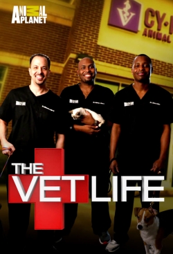 Watch free The Vet Life movies Hd online Gomovies