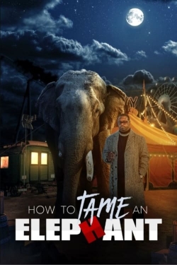 Watch free How To Tame An Elephant movies Hd online Gomovies