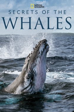 Watch free Secrets of the Whales movies Hd online Gomovies