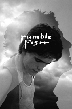 Watch free Rumble Fish movies Hd online Gomovies