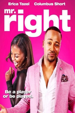 Watch free Mr. Right movies Hd online Gomovies