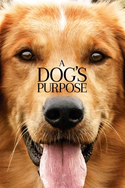 Watch free A Dog's Purpose movies Hd online Gomovies