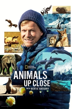 Watch free Animals Up Close with Bertie Gregory movies Hd online Gomovies